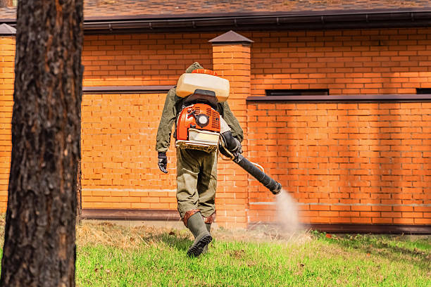 Trusted Cockroach Control service in Scotts Valley, CA - Nex Pest Control